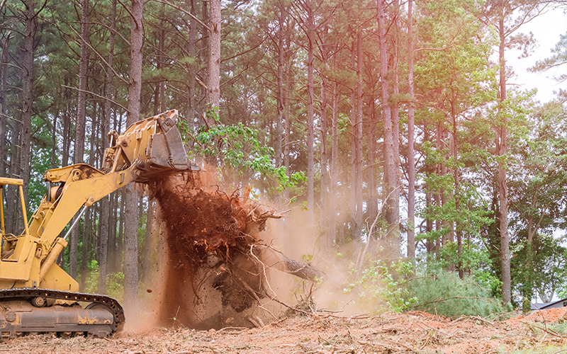 View lot clearing project in Conroe