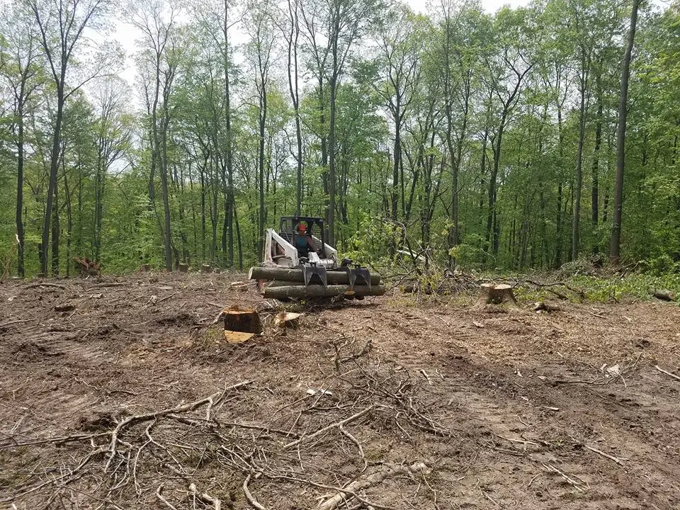 Lot Clearing